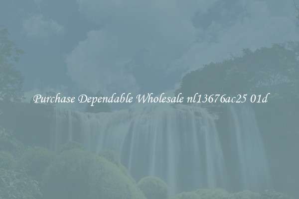 Purchase Dependable Wholesale nl13676ac25 01d