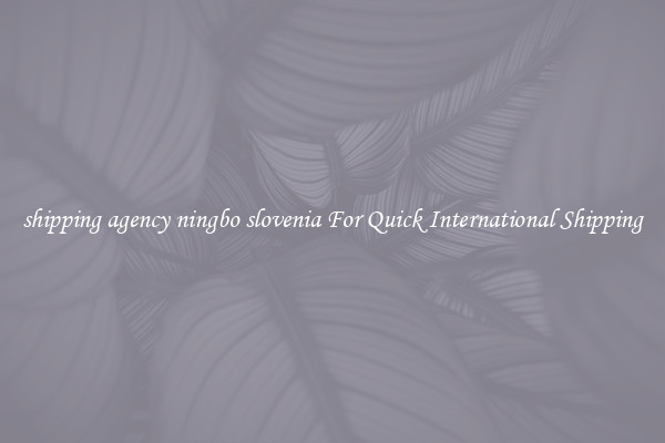 shipping agency ningbo slovenia For Quick International Shipping