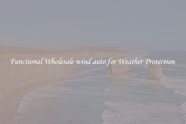 Functional Wholesale wind auto for Weather Protection 