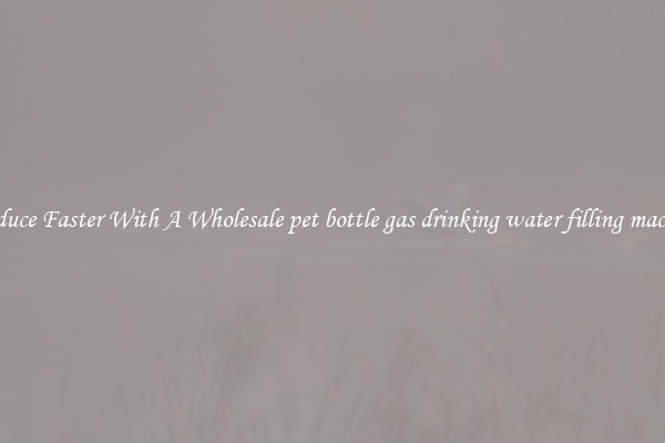 Produce Faster With A Wholesale pet bottle gas drinking water filling machine