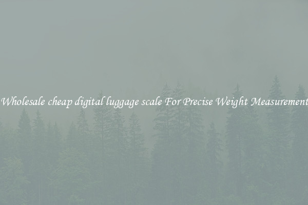 Wholesale cheap digital luggage scale For Precise Weight Measurement