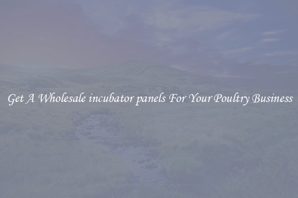 Get A Wholesale incubator panels For Your Poultry Business
