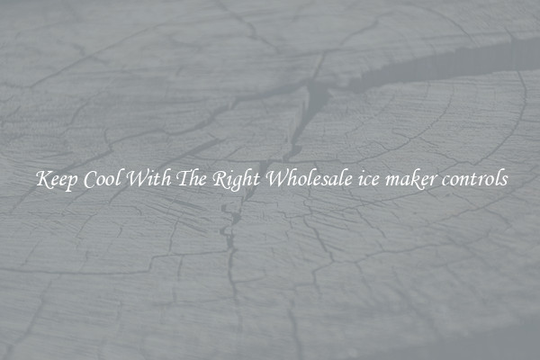 Keep Cool With The Right Wholesale ice maker controls