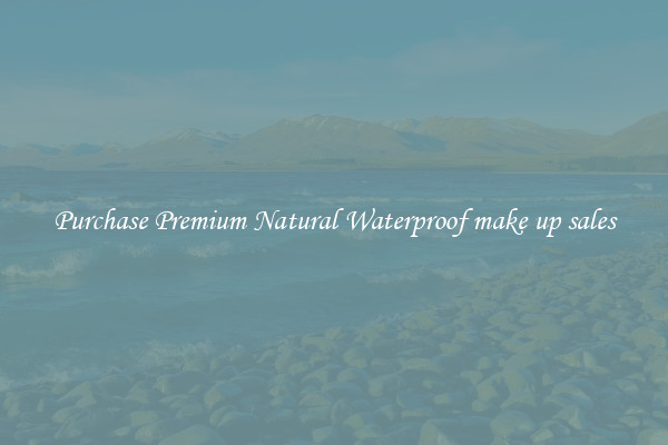 Purchase Premium Natural Waterproof make up sales