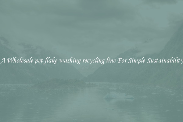  A Wholesale pet flake washing recycling line For Simple Sustainability 