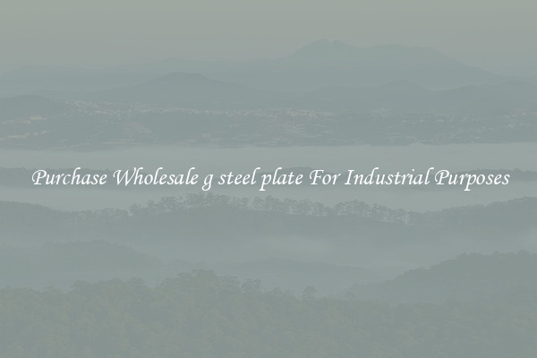 Purchase Wholesale g steel plate For Industrial Purposes