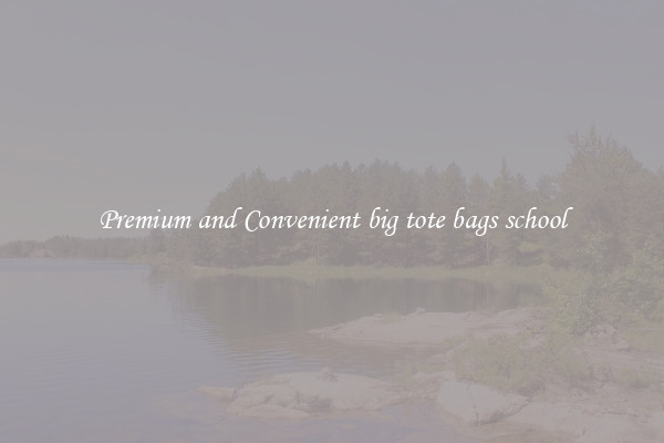 Premium and Convenient big tote bags school