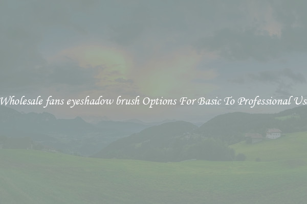 Wholesale fans eyeshadow brush Options For Basic To Professional Use
