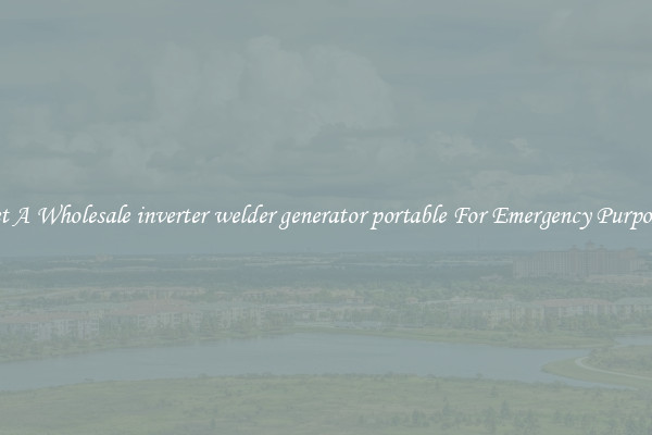 Get A Wholesale inverter welder generator portable For Emergency Purposes