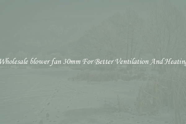 Wholesale blower fan 30mm For Better Ventilation And Heating