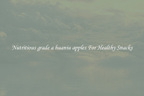 Nutritious grade a huaniu apples For Healthy Snacks