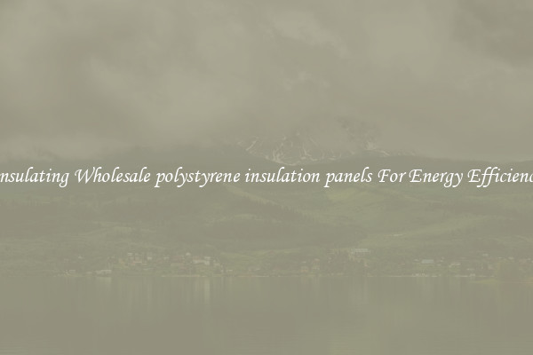 Insulating Wholesale polystyrene insulation panels For Energy Efficiency