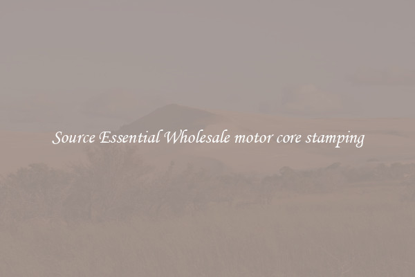 Source Essential Wholesale motor core stamping