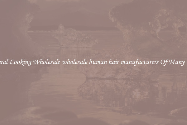 Natural Looking Wholesale wholesale human hair manufacturers Of Many Types