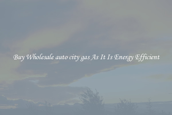 Buy Wholesale auto city gas As It Is Energy Efficient